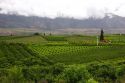 Orchards and low clouds in the Okanagan Valley south of Kelowna, British Columbia, Canada.