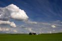 Eastern washington pea farm with rolling hills and clouds.