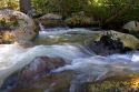 Small tributary stream along the South Fork of the Salmon River near Yellow Pine, Idaho.