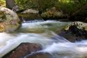 Small tributary stream along the South Fork of the Salmon River near Yellow Pine, Idaho.