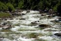 The East Fork of the South Fork of the Salmon River near Yellow Pine, Idaho.