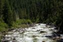 The East Fork of the South Fork of the Salmon River near Yellowpine, Idaho.