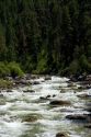 The East Fork of the South Fork of the Salmon River near Yellow Pine, Idaho.