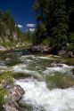 The East Fork of the South Fork of the Salmon River near Yellow Pine, Idaho.