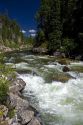 The East Fork of the South Fork of the Salmon River near Yellow Pine, Idaho.