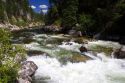 The East Fork of the South Fork of the Salmon River near Yellowpine, Idaho.