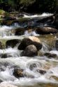 Small tributary stream along the South Fork of the Salmon River near Yellow Pine, Idaho.