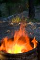 Fire burning in a controlled environment.