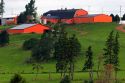 Farm and red barn on a hill at New Glasgow, Prince Edward Island, Canada.