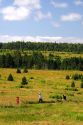 Hikers on a trail at Ft. Amherst near Charlottetown on Prince Edward Island, Canada.