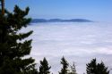 Looking down at clouds from Mt. Walker in  Olympic National Forest, Washington.