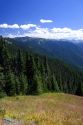 View of Olympic National Park from Hurricane Ridge.