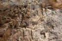 Fossil bone quarry at the Dinosaur National Monument at Vernal, Utah.