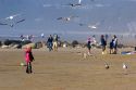 People feeding gulls on the beach at Newport, Oregon.