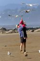 Father and daughter feeding gulls on the beach at Newport, Oregon.