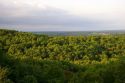 Hardwood forest in central Missouri.