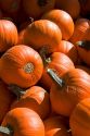 Miniature pumpkins at a farmers market in Canyon County, Idaho.