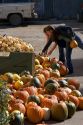 A variety of pumpkins at a farmers market in Canyon County, Idaho.