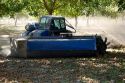 A windrow machine sweeps fallen walnuts into rows at harvest time in Glenn, California.