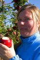 A woman eats an apple she just picked in an apple orchard near Emmett, Idaho. MR