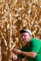 A farmer looks at feed corn ready for harvest in Canyon County, Idaho. MR