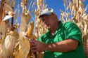 A farmer looks at a crop of feed corn in Canyon County, Idaho. MR