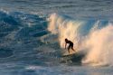 Surfing on waves in the pacific ocean off the island of Maui, Hawaii.