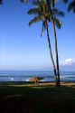 Girl walking with surfboard on the island of Maui, Hawaii.