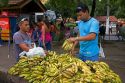 Street vendor selling bananas in Manaus, Brazil.