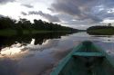 Dusk on the Arasa River in the Amazon jungle near Manaus, Brazil.