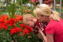 Mother and son shop for flowers in the greenhouse of a retail nursery in Nampa, Idaho. MR