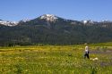 Woman and her dog walk through a meadow of wildflowers below Snowbank Mountain in Round Valley, Idaho. MR