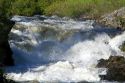 The Little Salmon River in Adams County, Idaho.