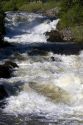 The Little Salmon River in Adams County, Idaho.