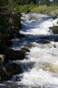 The Little Salmon River in Adams County, Idaho.