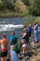Chinook Salmon fishing on the banks of the Little Salmon River near Riggins, Idaho.