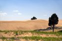 Sand dunes at St. Anthony, Idaho.