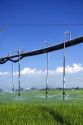 Pivot irrigation of a green wheat field near St. Anthony, Idaho.