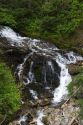 Fresh water mountain stream in the North Cascade Range, Washington.
