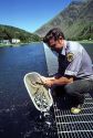 Idaho Department of Fish and Game officer examines Chinook Salmon smolts at the Rapid River Fish Hatchery located beside a tributary of the Salmon River near Riggins, Idaho.