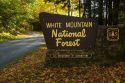 White Mountain National Forest in Grafton County, New Hampshire, USA.