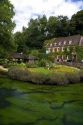 Trout farm in the village of Bibury, Gloucestershire, England.