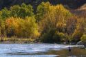 Fly fishing on the south fork of the Boise River in Elmore County, Idaho, USA.