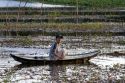 Vietnamese man in a boat tends to a fish pond in Hue, Vietnam.