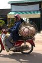 Vietnamese man transporting a live pig to market in Quang Tri Province, Vietnam.