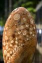 Egg shaped pisolite on display at the Nguyen Hue Boulevard in Ho Chi Minh City, Vietnam.