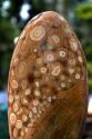 Egg shaped pisolite on display at the Nguyen Hue Boulevard in Ho Chi Minh City, Vietnam.