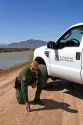 United States Border Patrol agent checking for footprints at the U.S./Mexico border along the All American Canal near Calexico, California.