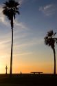 Palm trees at sunset on Mission Beach in San Diego, Southern California, USA.