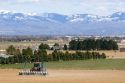 Farmer planting corn crop in Canyon County, Idaho, USA.